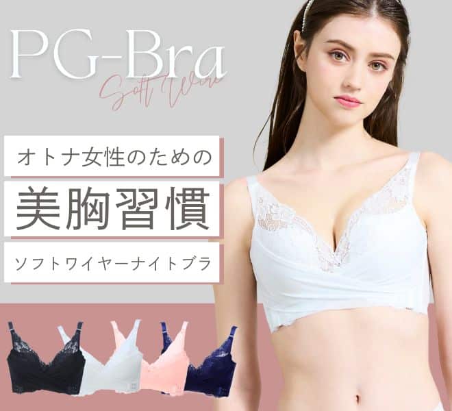 バストサポートナイトブラPG-Bra